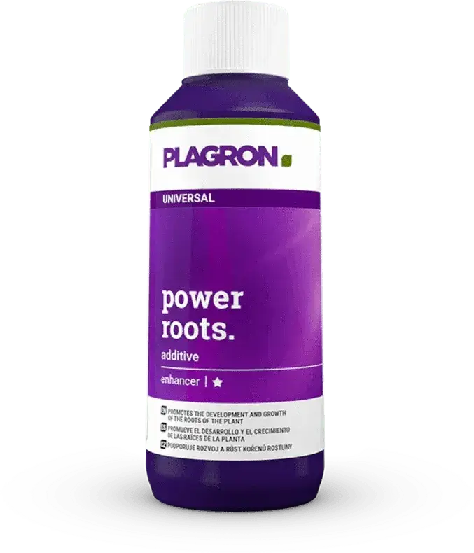 plagron-power-roots-100ml