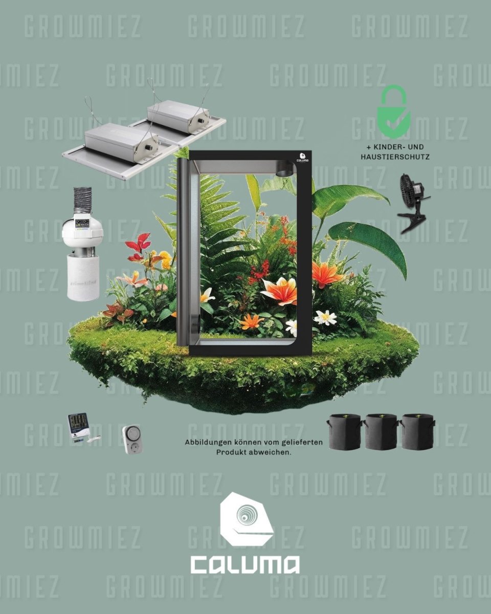 Growbox Komplettset mit LED 160x60cm
