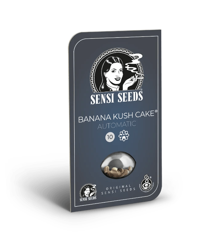 sensi-seeds-banana-kush-cake-auto