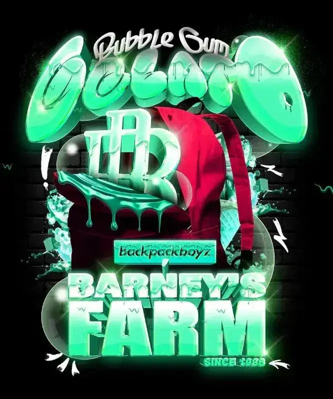 Bubblegum Gelato Barneys Farm