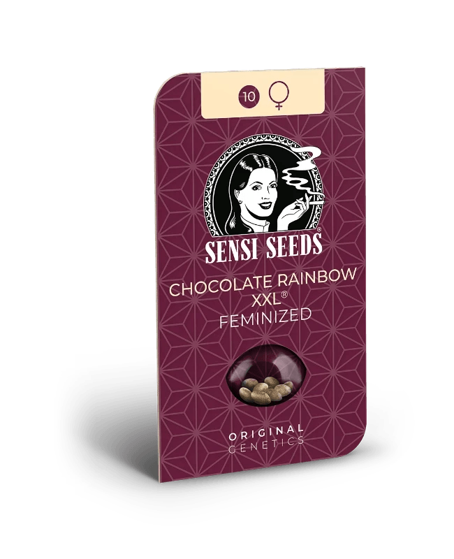 chocolate-rainbow-xxl-sensi-seeds