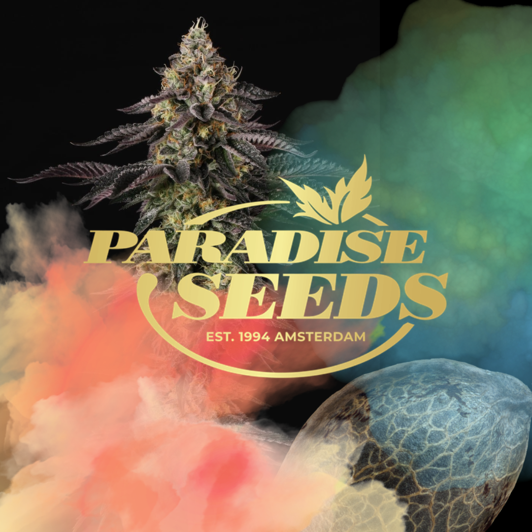 paradise-seeds-samen