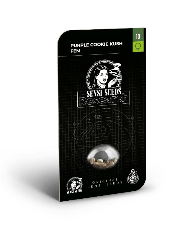 sensi-seeds-purple-cookie-kush