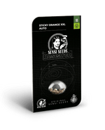 sticky-orange-xxl-von-sensi-seeds