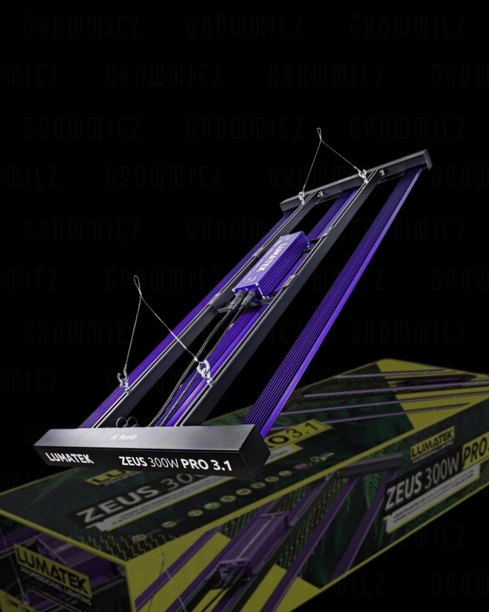 Lumatek ZEUS 300 Watt