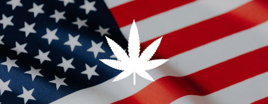 cannabis-samen-aus-usa