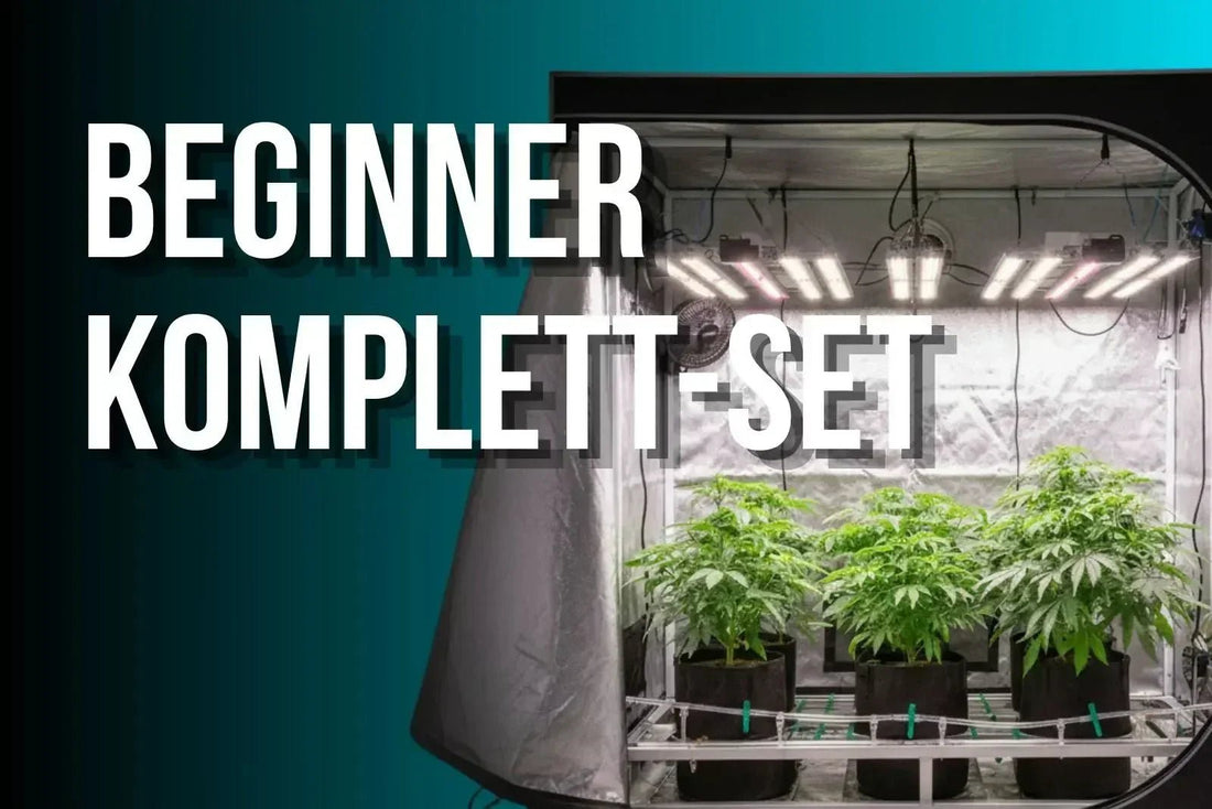 Beginner Growbox Komplettset Guide