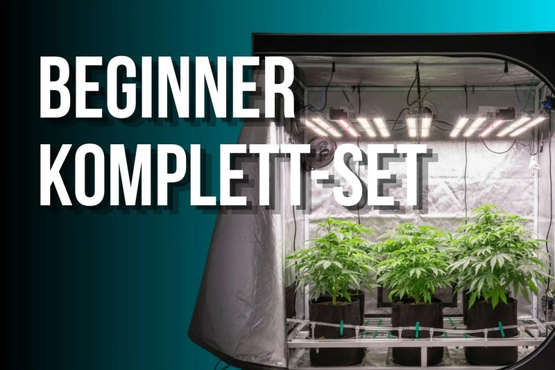 Beginner Growbox Komplettset Guide