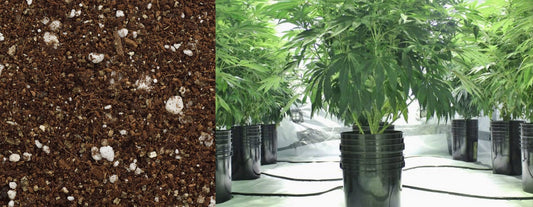 erde-coco-oder-hydro