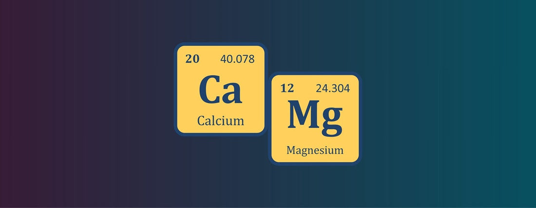 CalMag richtig einsetzen: Kalzium- und Magnesium-Mangel vermeiden