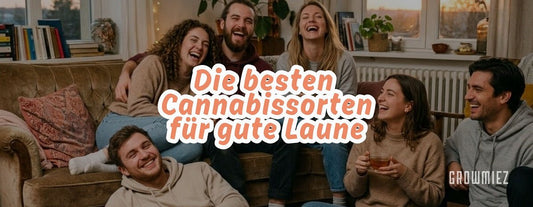 Cannabis Sorten für gute Laune