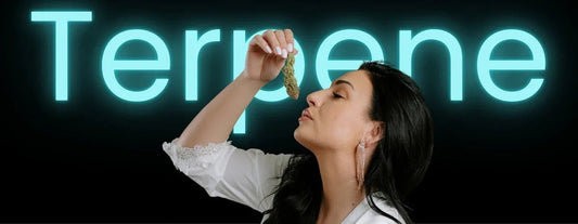 cannabis-terpene