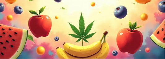 die-fruchtigsten-cannabis-sorten