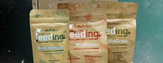 Green House Feeding Bio - Wie gut ist der Langzeitdünger?