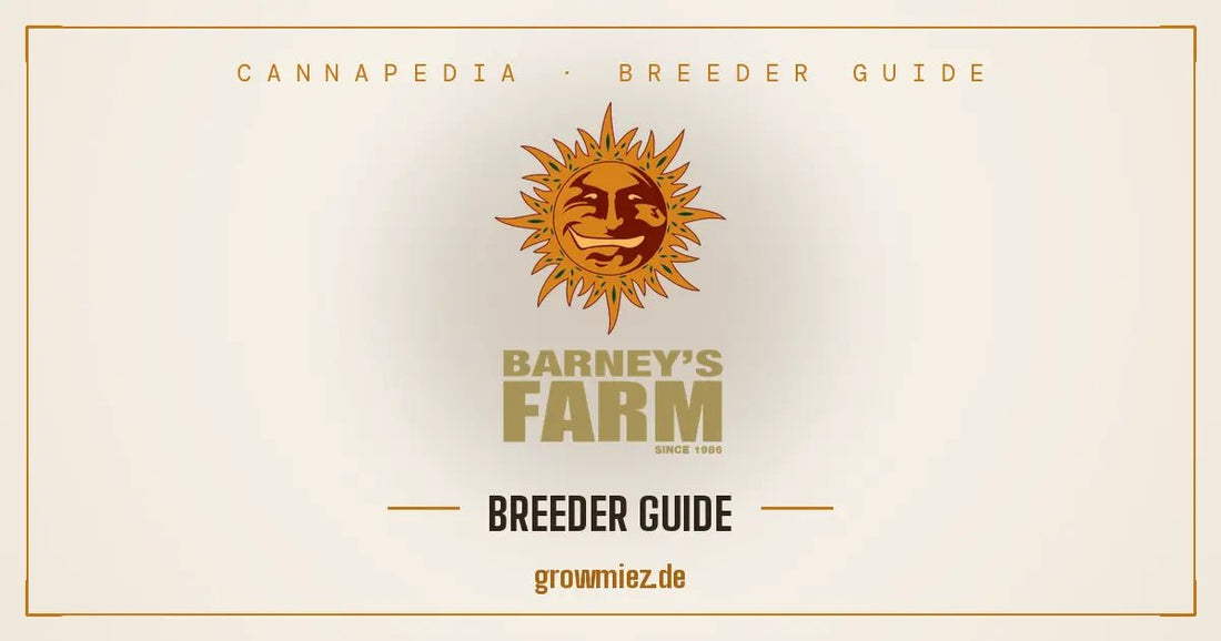 Barney's Farm Amsterdam Breeder Guide