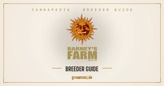 Barney's Farm Amsterdam Breeder Guide
