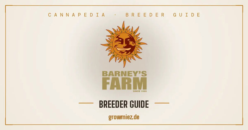 Barney's Farm Amsterdam Breeder Guide