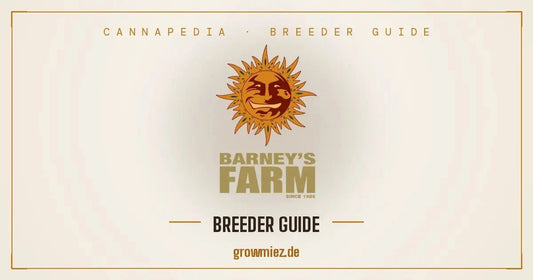Barney's Farm Amsterdam Breeder Guide