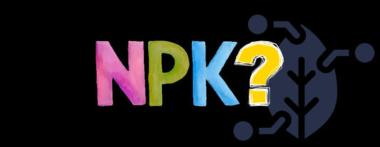 stickstoff-phosphor-und-kalium-blog