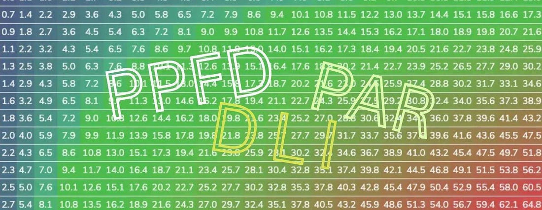 ppfd-und-dli-für-cannabis