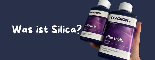 Silica im Cannabisanbau: Vorteile, Anwendung und optimale Ergebnisse