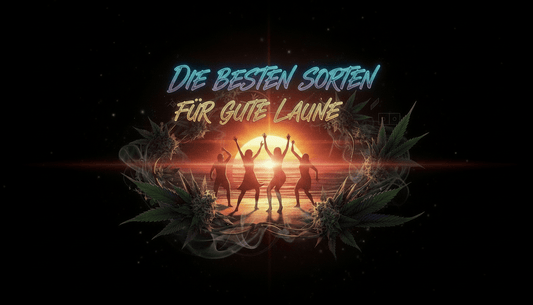 Cannabis Sorten für gute Laune