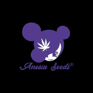 Anesia Seeds Logo