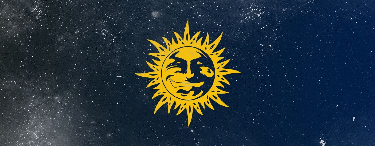 Cannabis Samen von Barneys Farm legal in Deutschland kaufen