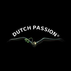 Dutch Passion