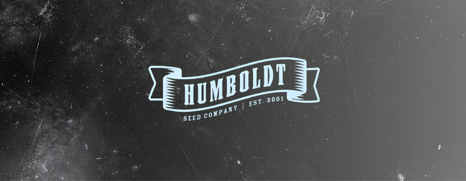Humboldt Seed Company feminisierte Cannabis Samen