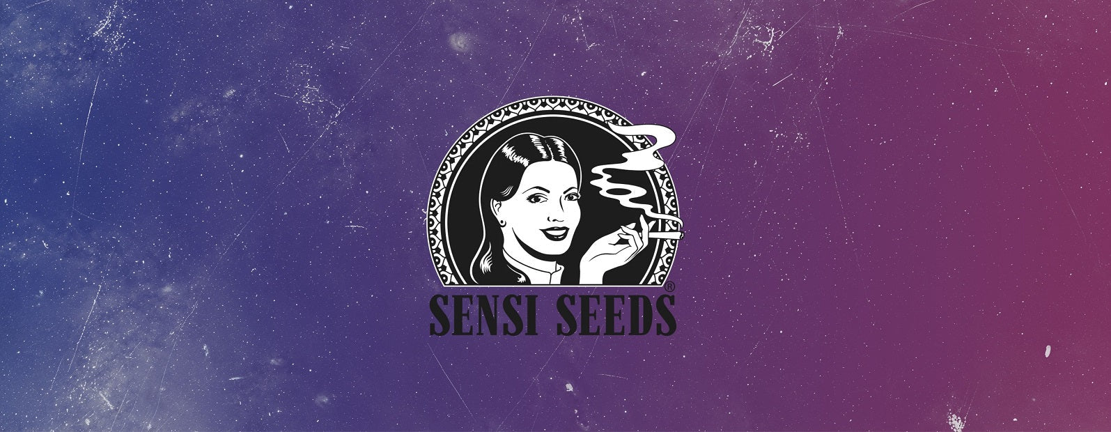sensi-seeds