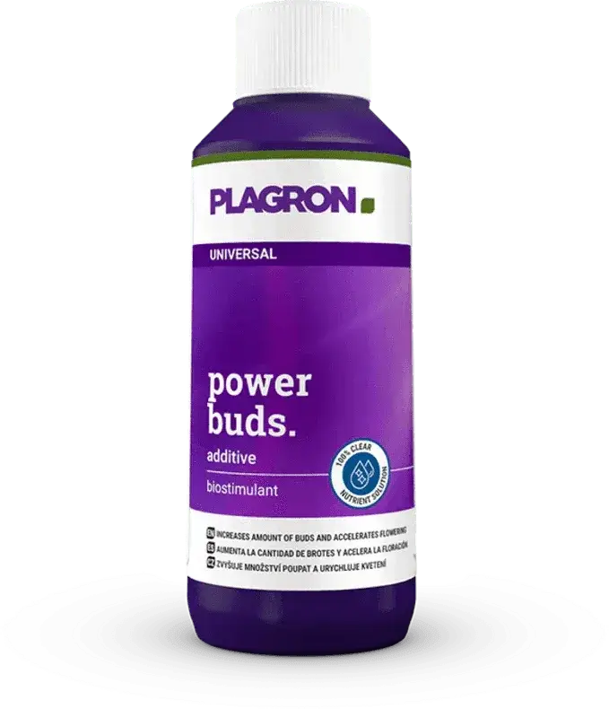 plagron-power-buds-100ml