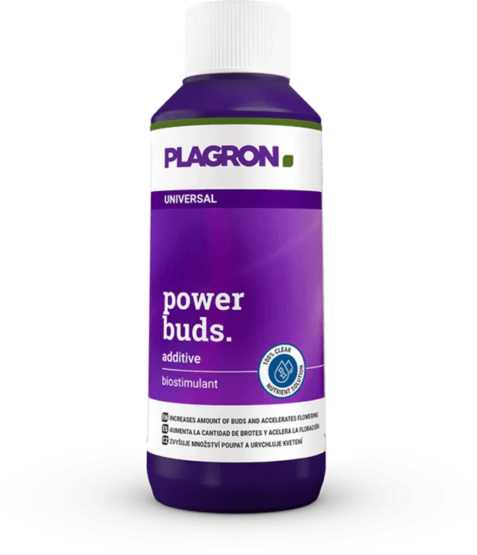 plagron-power-buds-100ml