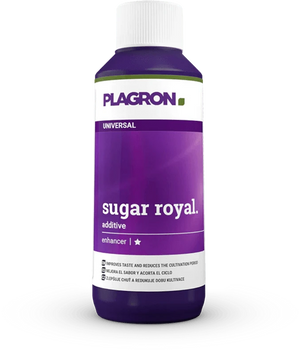 plagron-sugar-royal-100-ml