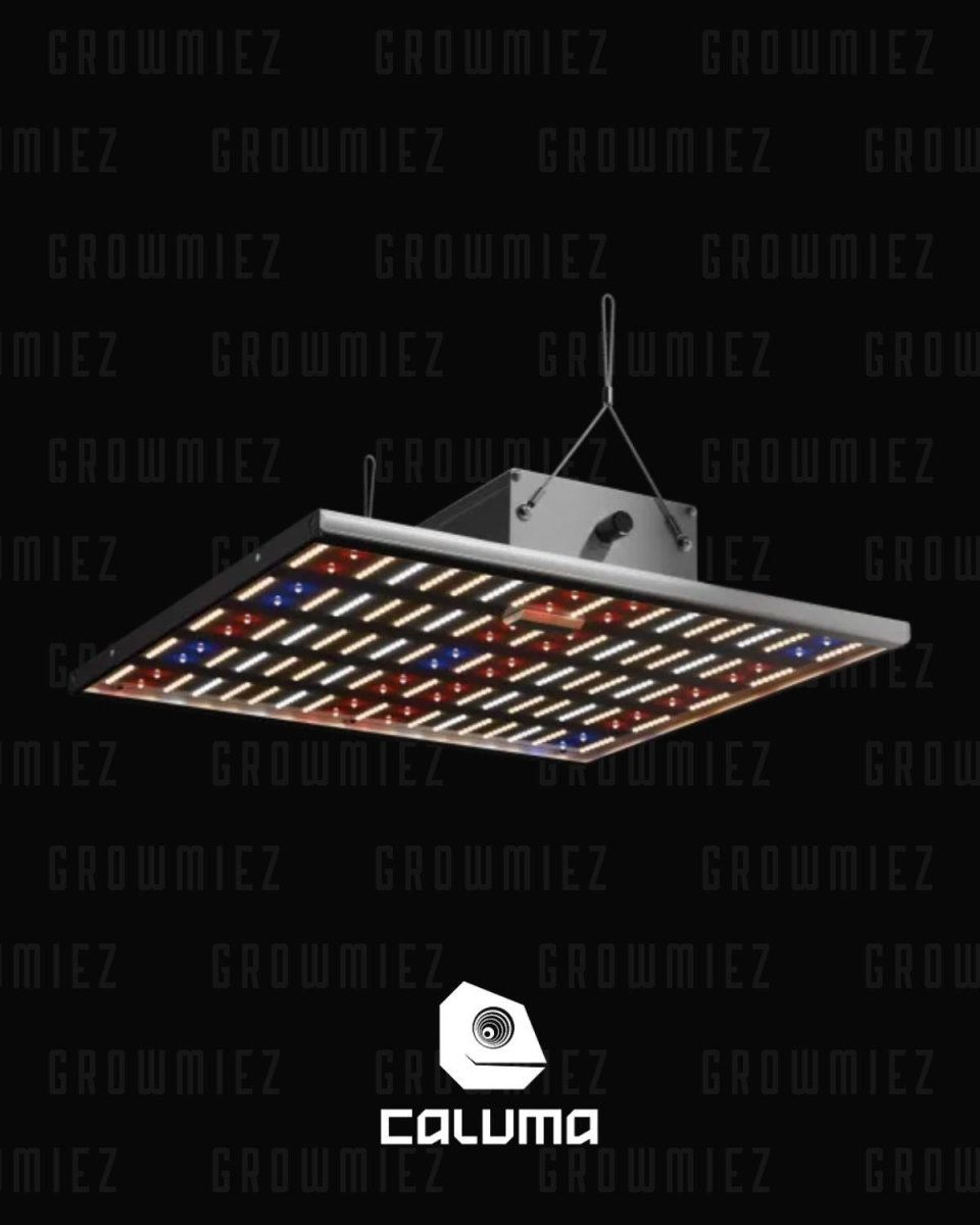 Caluma Force LED 150W