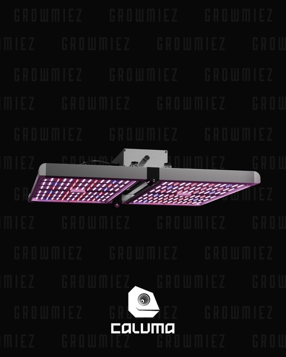Caluma Force LED 320W