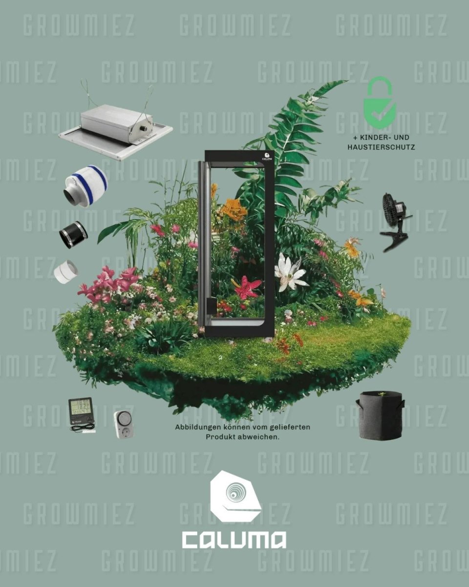 keines Growbox Komplettset für 1 Pflanze, 60x60x160cm