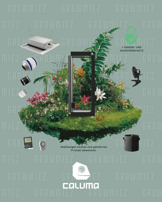 keines Growbox Komplettset für 1 Pflanze, 60x60x160cm