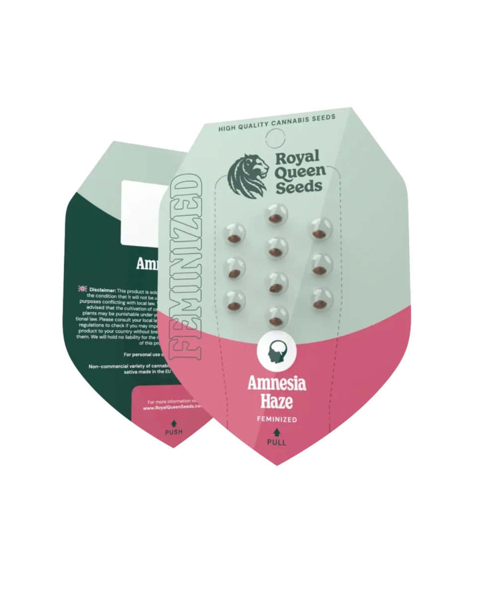 Amnesia Haze feminiert, Royal Queen Seeds, Originalverpackung