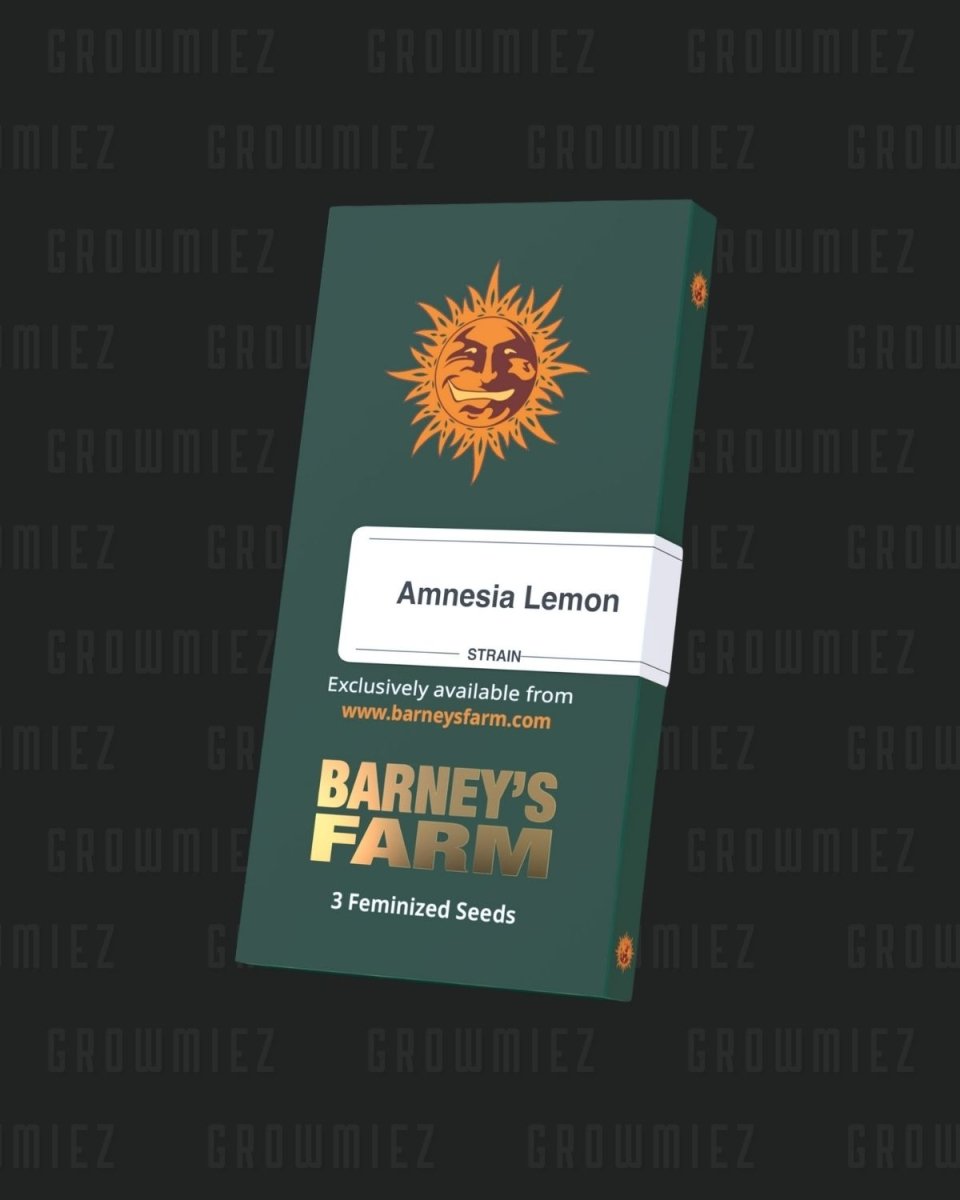 Amnesia Lemon Samenpackung