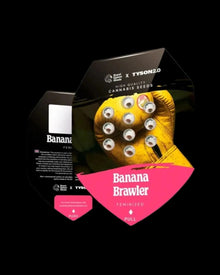 Banana Brawler Hanfsamen