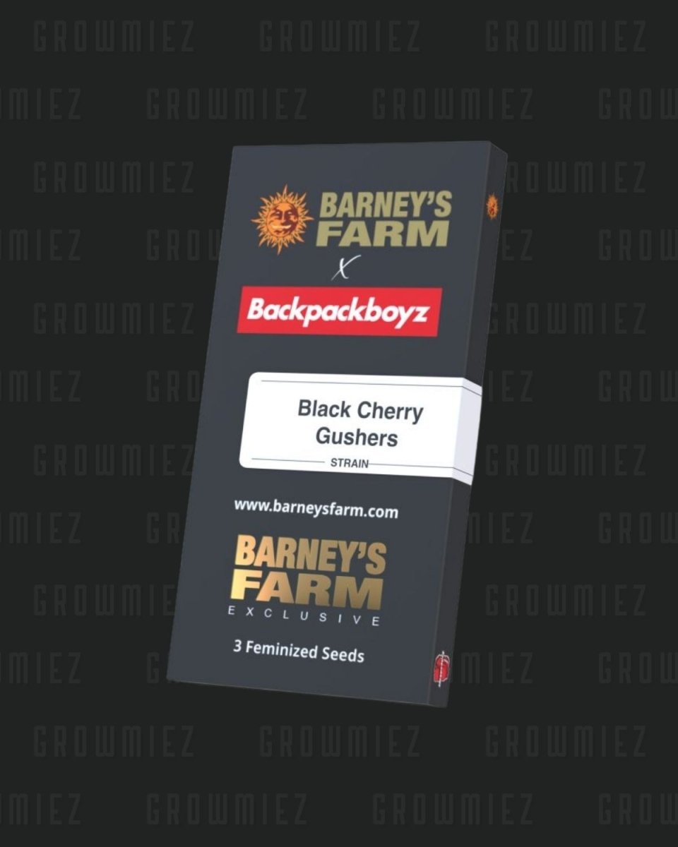 Black Cherry Gushers Samenpackung