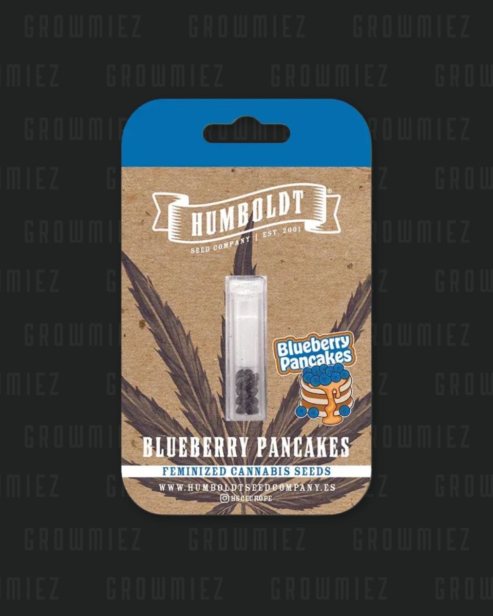 Blueberry Pancakes Humboldt Seed Company