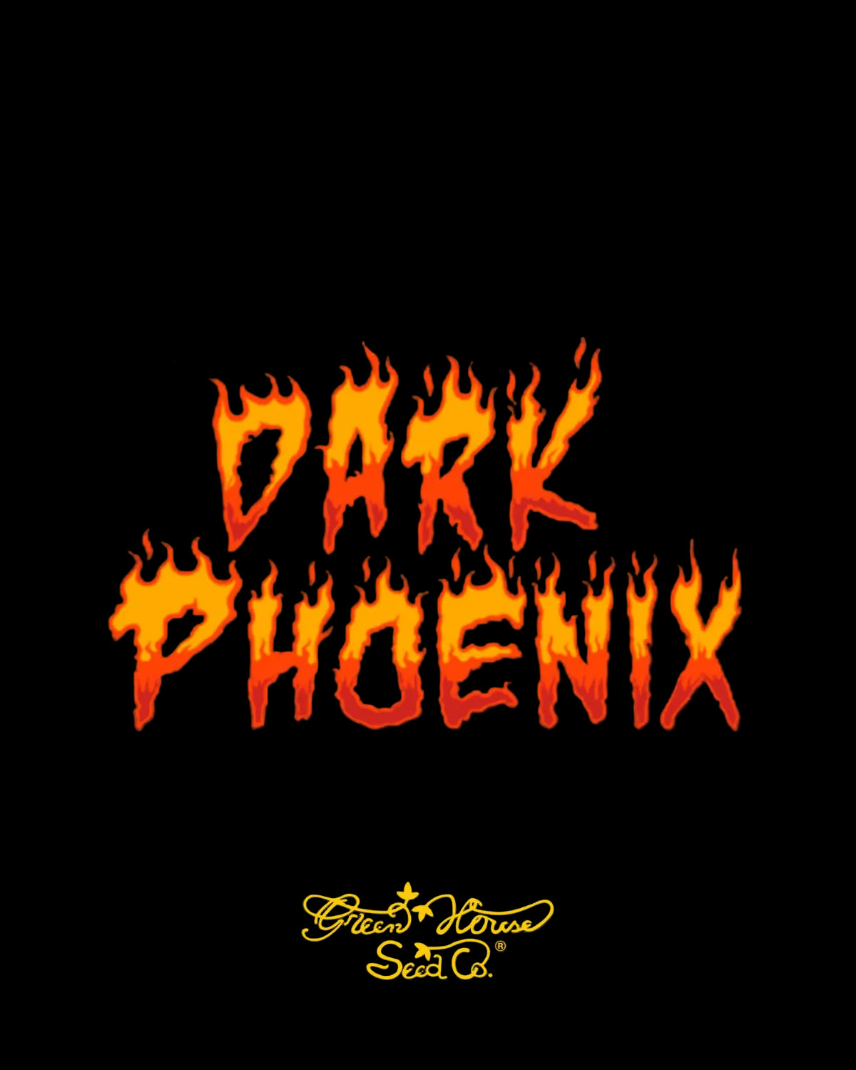 Dark Phoenix Green House Seeds