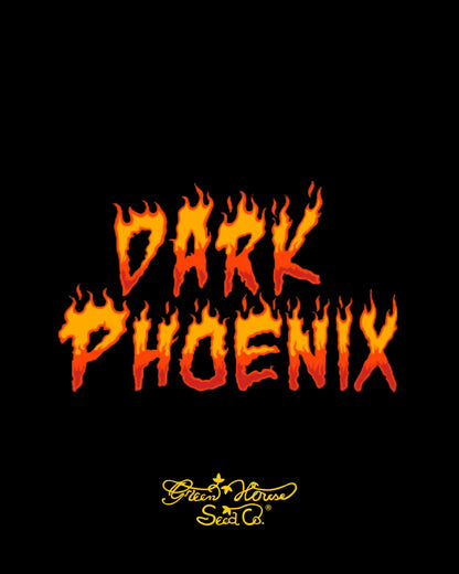 Dark Phoenix Green House Seeds