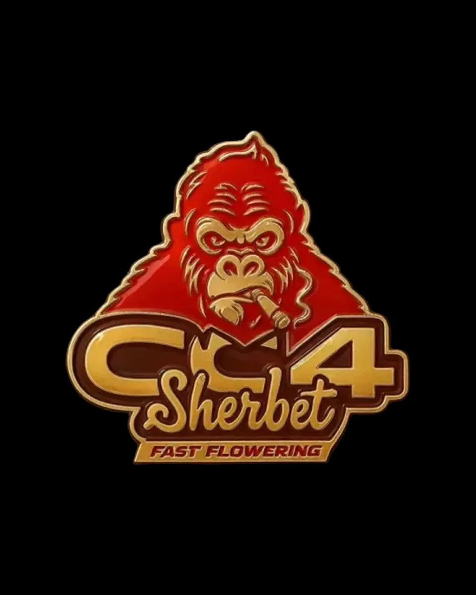 GG4 Sherbet FF