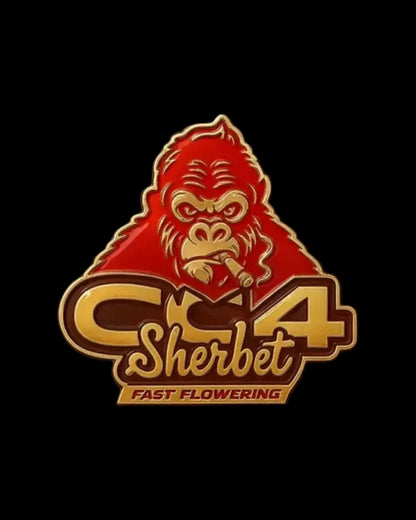 GG4 Sherbet FF