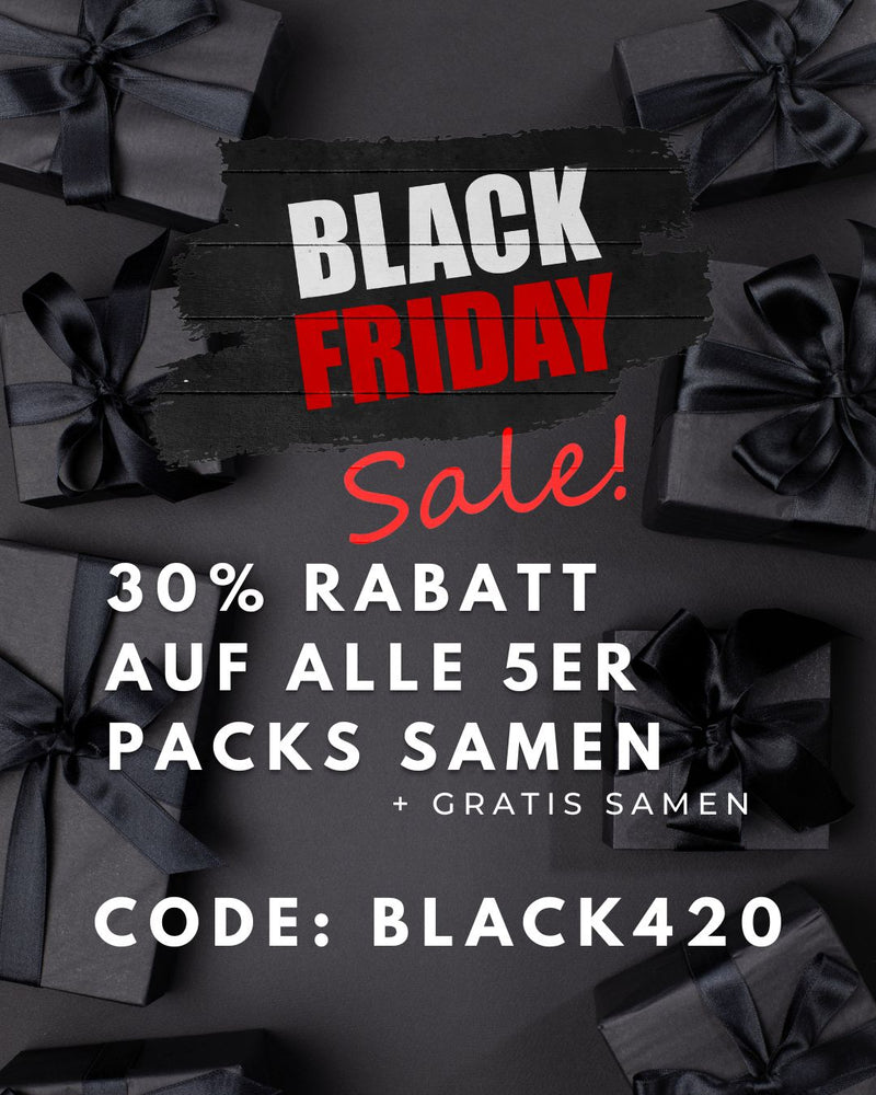 black-friday-rabatte