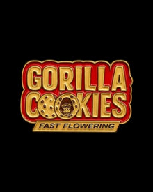 Gorilla Cookies Fast Flowering