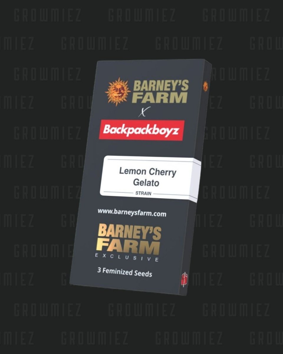 Leon Cherry Gelato Strain